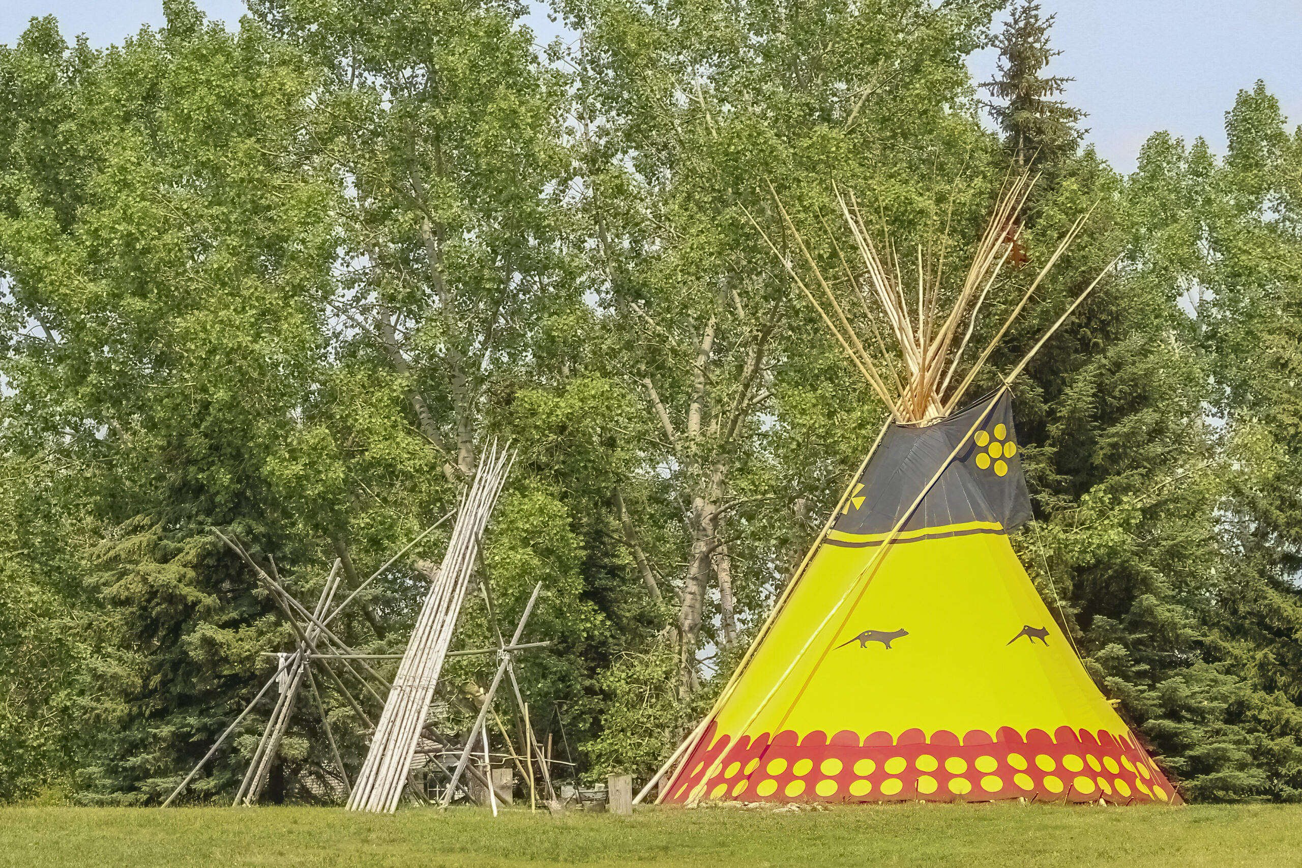 A tipi or tepee a conical lodge tent at the Stampede Park in Calgary, Alberta, Canada